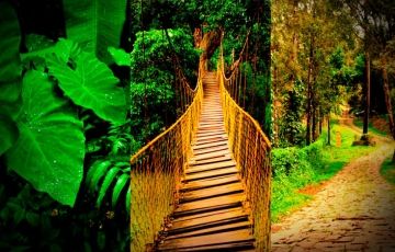 Amazing 3 Days 2 Nights Coorg Holiday Package