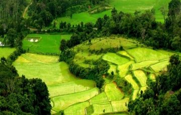 Magical Mysore Tour Package for 3 Days 2 Nights