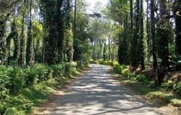 Experience Mysore Coorg Hill Stations Tour Package for 3 Days