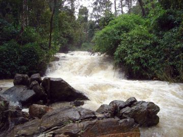 Memorable 3 Days 2 Nights Coorg Hill Stations Vacation Package