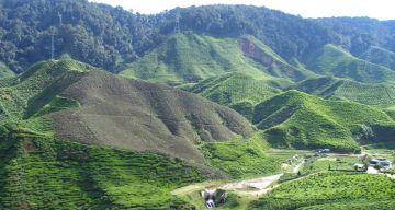 Amazing 3 Days Coorg Friends Tour Package