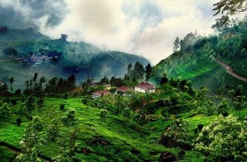 Coorg Ooty Kodaikanal Tour