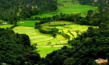 Mysore- coorg- ooty  5 nights 6 day
