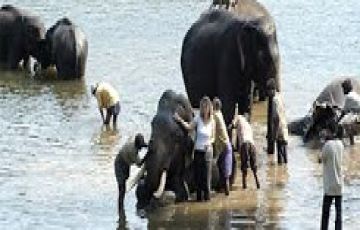 6 Days 5 Nights Ooty Family Vacation Vacation Package