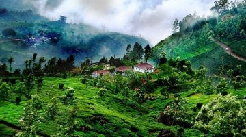3 Days 2 Nights Mysore division with Coorg Nature Trip Package