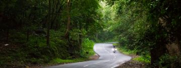 Memorable 7 Days Bengaluru to OOTY Honeymoon Holiday Package