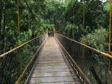 Best 6 Days 5 Nights Coorg Honeymoon Trip Package