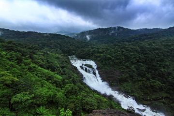 7 Days 6 Nights Coorg, Ooty and Mysore Family Tour Package