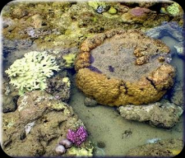 Experience 5 Days 4 Nights Havelock Culture and Heritage Vacation Package