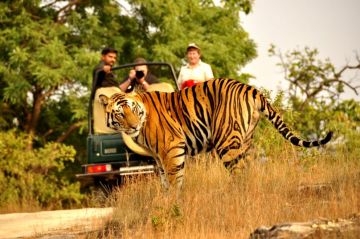 Family Getaway 4 Days Delhi to Corbett national Park Holiday Package