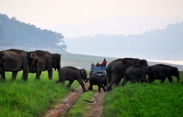 Beautiful 8 Days 7 Nights Binsar Offbeat Vacation Package