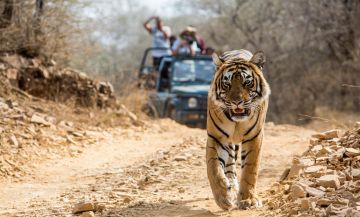7 Days Delhi to Ramnagar Wildlife Vacation Package