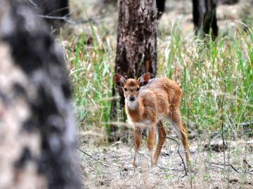 Amazing 3 Days Delhi to Nainital Weekend Getaways Vacation Package