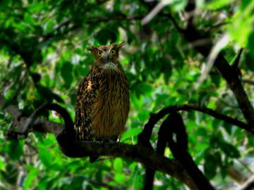 Amazing 3 Days Delhi to Nainital Weekend Getaways Vacation Package