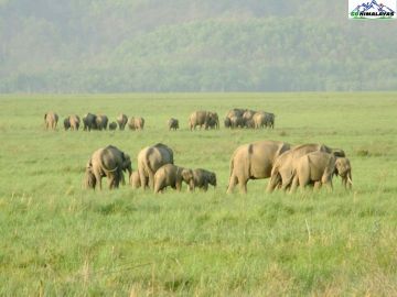 4 Days Nainital and Jim Corbett National Park Offbeat Holiday Package