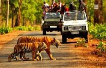 Pleasurable 5 Days 4 Nights Nainital and Corbett Wildlife Holiday Package