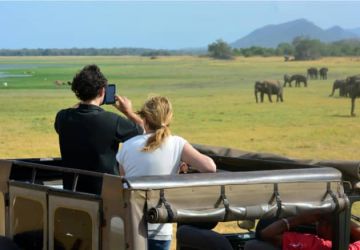 7 Days 6 Nights Nairobi to Maasai Mara Wildlife Holiday Package