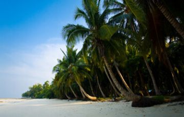 9 Days 8 Nights HAVELOCK ISLAND Offbeat Trip Package