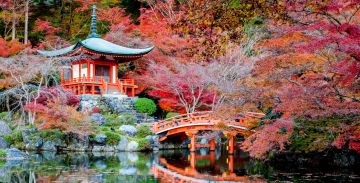 Memorable 6 Days Mumbai to HAKONE Offbeat Holiday Package
