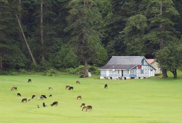 Amazing 4 Days Dharamshala Friends Vacation Package