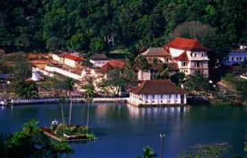 5 Days 4 Nights Nuwara Eliya Romantic Holiday Package