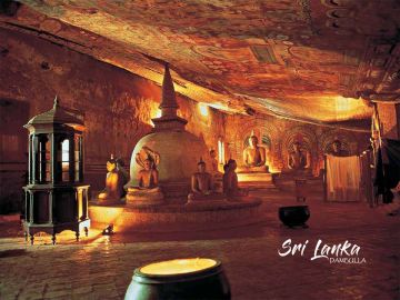 Best 8 Days Negombo to Sigiriya Culture and Heritage Tour Package