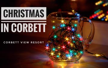 Beautiful 3 Days 2 Nights Ramnagar Weekend Getaways Vacation Package