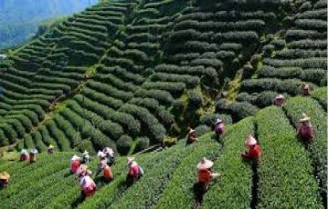 Heart-warming 4 Days 3 Nights Darjeeling Tour Package