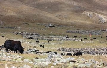 Compleate Himachal Package 9 Nights 10 Days