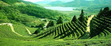 Beautiful 4 Days 3 Nights Darjeeling Honeymoon Tour Package