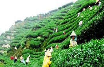 Amazing 5 Days 4 Nights Darjeeling with Gangtok Vacation Package
