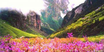 7 Days Gangtok, Pelling and Darjeeling Holiday Package