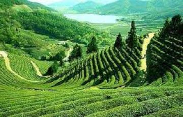 Heart-warming 6 Days Gangtok to Kalimpong Hill Stations Holiday Package