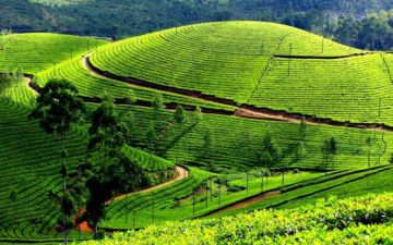 Mirik Nature Tour Package for 4 Days 3 Nights