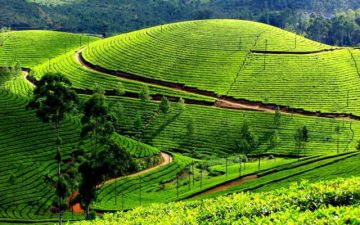 Memorable 6 Days 5 Nights Darjeeling Friends Tour Package