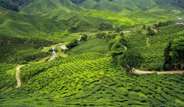 Ecstatic 5 Days 4 Nights Gangtok with Darjeeling Trip Package