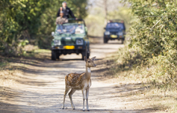 Amazing 9 Days Corbett National Park Tour Package