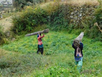 2 Days 1 Night Dayara Bugyal Waterfall Trip Package