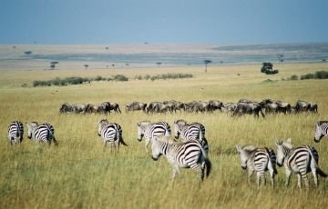 Family Getaway Nairobi Tour Package for 3 Days 2 Nights