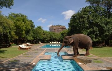 Memorable 11 Days 10 Nights Colombo Vacation Package