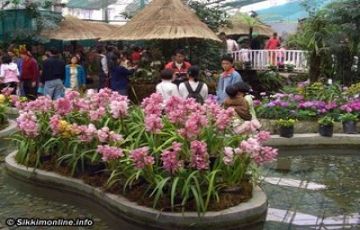 Beautiful 10 Days 9 Nights Darjeeling and Pelling Trip Package