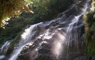 Beautiful 10 Days 9 Nights Darjeeling and Pelling Trip Package