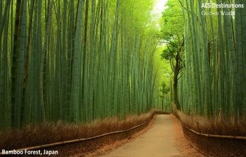 Best 6 Days 5 Nights Nusa Dua Vacation Package