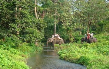 Memorable 4 Days 3 Nights Jaldapara with Lataguri Tour Package