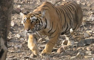 Tour Package from New Delhi,anywhere