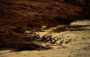 Beautiful 3 Days 2 Nights Ranthambore Vacation Package