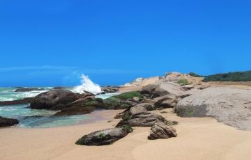 Ecstatic 5 Days 4 Nights Colombo Tour Package