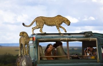 Amazing 5 Days 4 Nights Aberdares, Kenya, Great rift valley, Masai Mara national park and Nairobi Tour Package