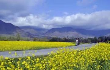 Amazing 5 Days 4 Nights kashmir and Srinagar Trip Package