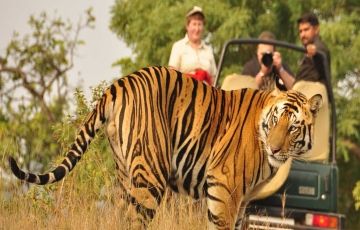 Magical 3 Days 2 Nights Corbett National Park Tour Package